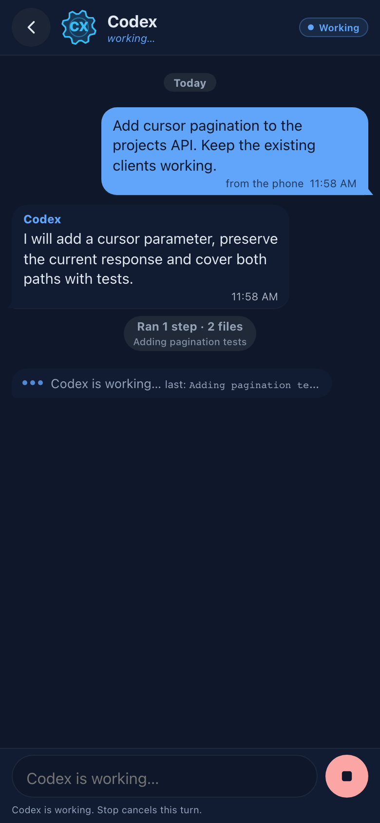Chat mit Codex